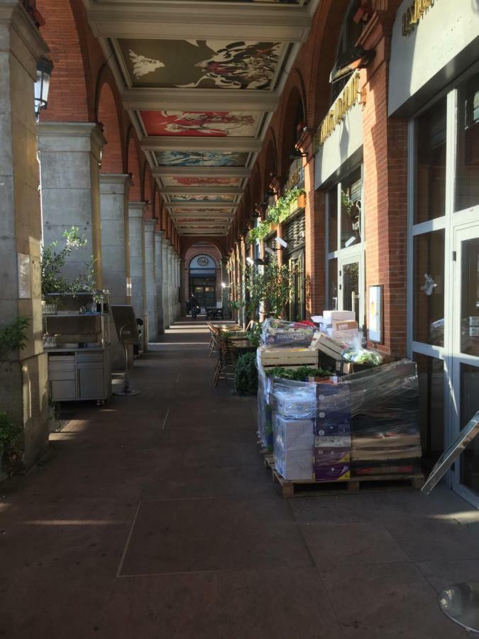 Appartement Toulouse Plein Centre-Jusqu'A 4 Personnes-Parking Et Petit Dejeuner Inclus Exterior photo